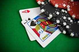 Dealer profesional mawar 633 membagikan kartu di meja No Commission Baccarat